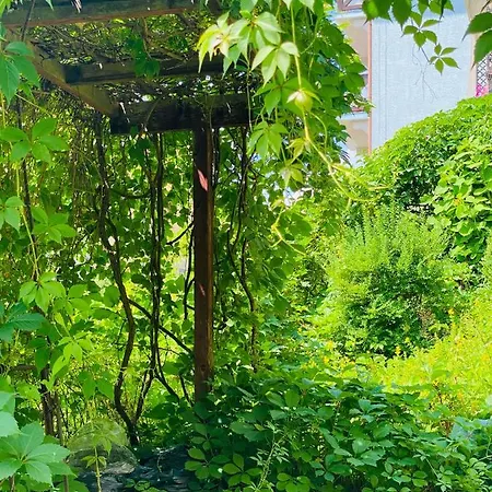 Aba Czarny Potok Apartment